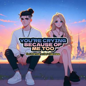 收聽DJ Panda的You're Crying Because of Me Too歌詞歌曲