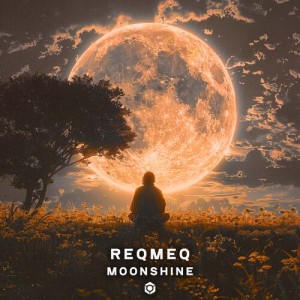 Album Moonshine from ReQmeQ