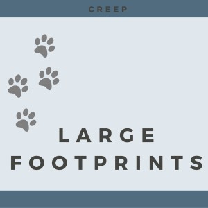 Large Footprints
