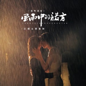 收听王娜的风雨中的诺言（国粤语版） (完整版)歌词歌曲