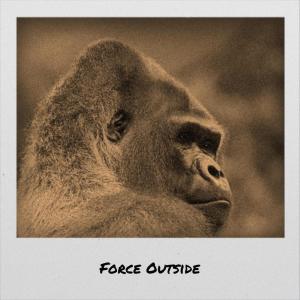 Listen to Force Outside song with lyrics from Richy Bere