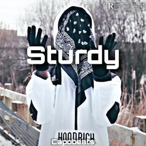 ดาวน์โหลดและฟังเพลง Sturdy พร้อมเนื้อเพลงจาก CapoBeats_