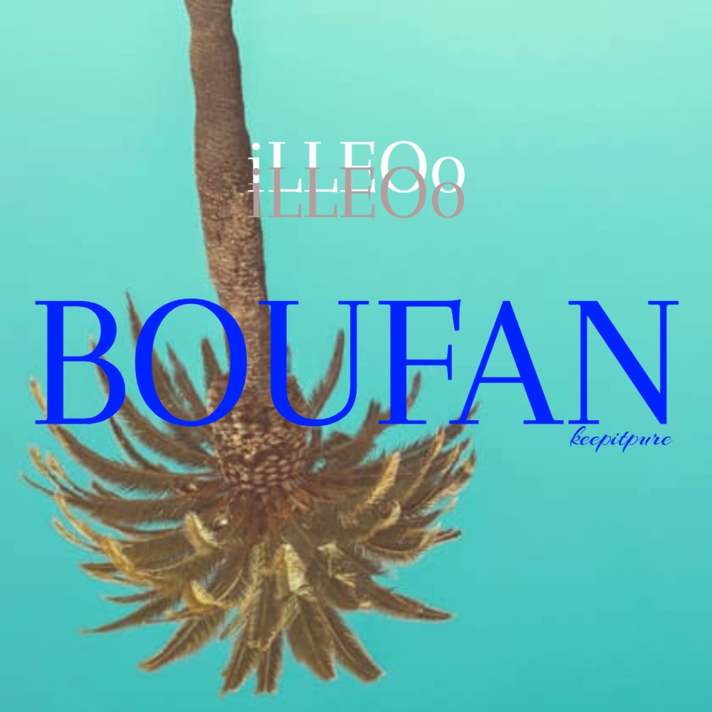 BOUFAN (Explicit)