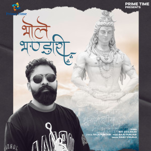 Listen to Bhole Bhandari song with lyrics from Boy Zaildaar