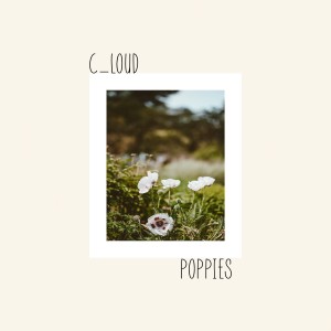 ดาวน์โหลดและฟังเพลง Poppies พร้อมเนื้อเพลงจาก C_loud