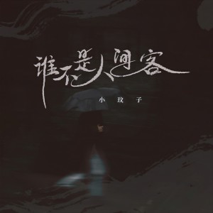 Album 谁不是人间客 from 小玟子