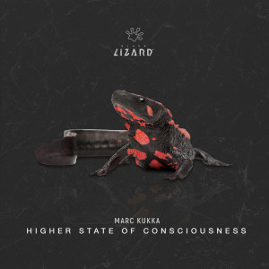 收听Marc Kukka的Higher State Of Consciousness歌词歌曲
