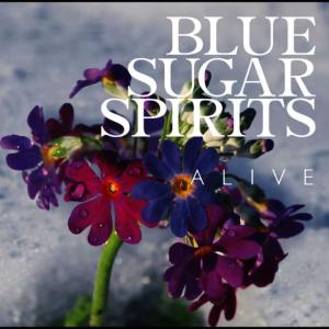 ดาวน์โหลดและฟังเพลง Heavenly พร้อมเนื้อเพลงจาก Blue Sugar Spirits