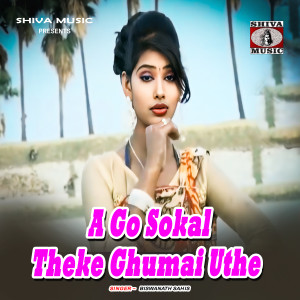 Listen to A Go Sokal Theke Ghumai Uthe song with lyrics from Biswanath Sahis