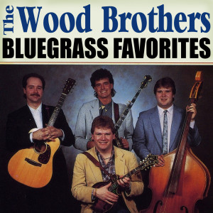 收聽The Wood Brothers的Say You Love Me歌詞歌曲