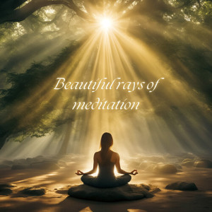 Listen to Beautiful rays of meditation song with lyrics from Magical Forest
