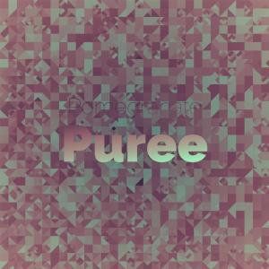 Listen to Pomegranate Puree song with lyrics from Joce Hoan