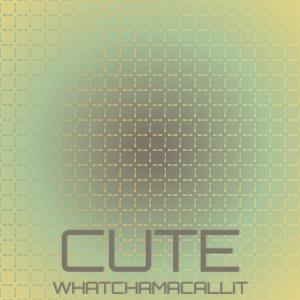 收听Chaude Soli的Themselves Expectation歌词歌曲