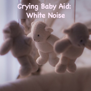 Listen to Bass Boosted Pink Noise song with lyrics from White Noise Baby Sleep