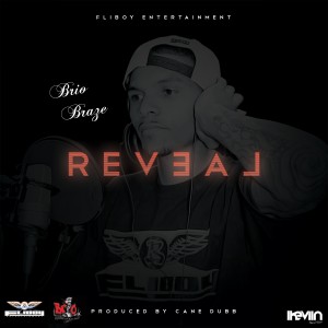 Listen to Good Bye song with lyrics from Brio Braze