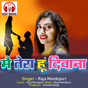 Listen to Main Tera Hu Diwana (Hindi Song) song with lyrics from Raja Manikpuri