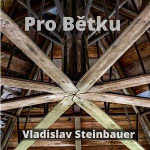 ดาวน์โหลดและฟังเพลง Pro Bětku พร้อมเนื้อเพลงจาก Vladislav Steinbauer