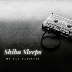 Listen to Evening Sky song with lyrics from Shiba Sleeps