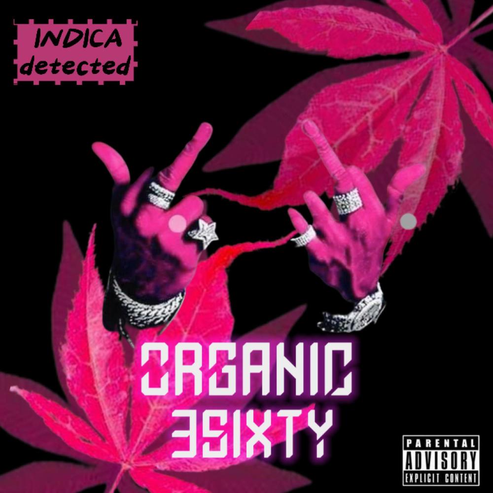 Organic (feat. 3SIXTY) (Radio Edit|Explicit)