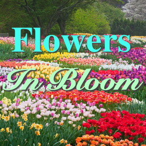 ดาวน์โหลดและฟังเพลง Wild Flower พร้อมเนื้อเพลงจาก Simon & Garfunkel