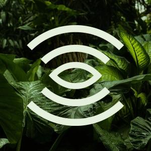 收聽Botánika的Photosynthesis (feat. Morell)歌詞歌曲