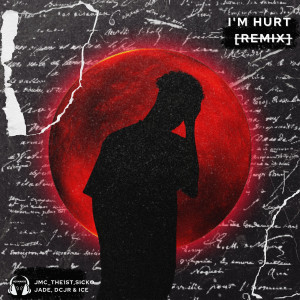 收听Jmc_the1st的I'm Hurt (Remix)歌词歌曲