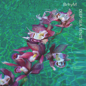 ดาวน์โหลดและฟังเพลง Deep Sea Vents พร้อมเนื้อเพลงจาก BrhyM