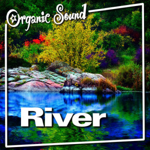 ดาวน์โหลดและฟังเพลง River Flowing Nature Sound for Tranquil Sleep and Relaxation พร้อมเนื้อเพลงจาก Organic Sound