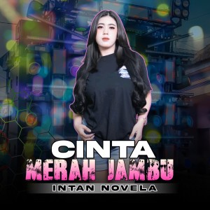 Intan Novela的專輯Cinta Merah Jambu