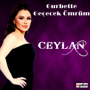 Album Gurbette Ömrüm Geçecek from Ceylan