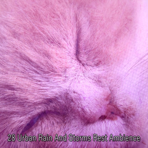 อัลบัม 28 Urban Rain And Storms Rest Ambience ศิลปิน Thunderstorm Sleep