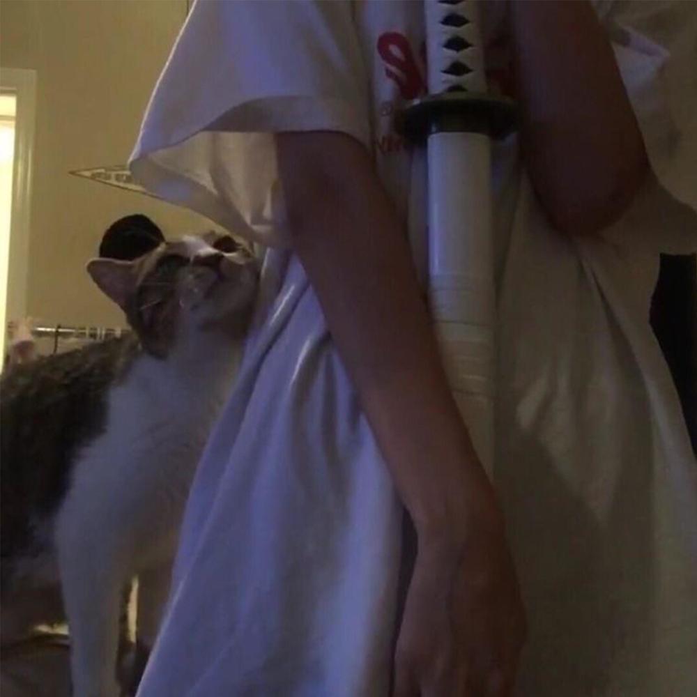 phantom (Explicit)