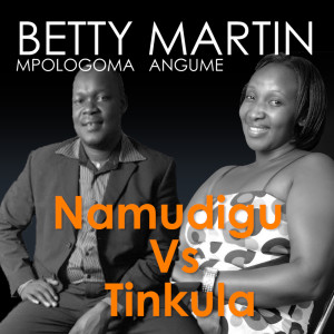 的專輯Namudigu Vs Tinkuula