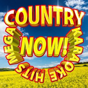 ดาวน์โหลดและฟังเพลง Toes (Originally Performed By Zac Brown Band) พร้อมเนื้อเพลงจาก Country Music Heroes