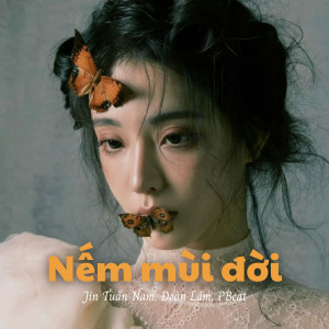 nguyen manh的專輯Nếm Mùi Đời (Lofi)