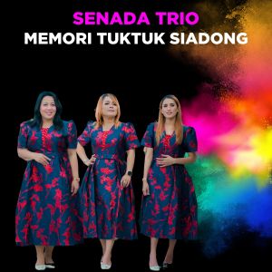 Listen to Memori Tuktuk Siadong song with lyrics from Senada Trio