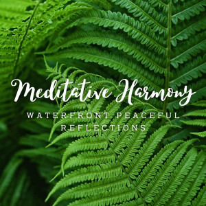 Listening Wind的專輯Piano Reverie: Meditative Harmony in Nature's Embrace