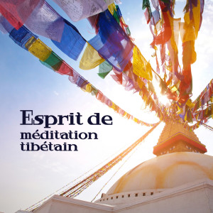 ดาวน์โหลดและฟังเพลง Salutation au soleil พร้อมเนื้อเพลงจาก Bouddha Musique Sanctuaire