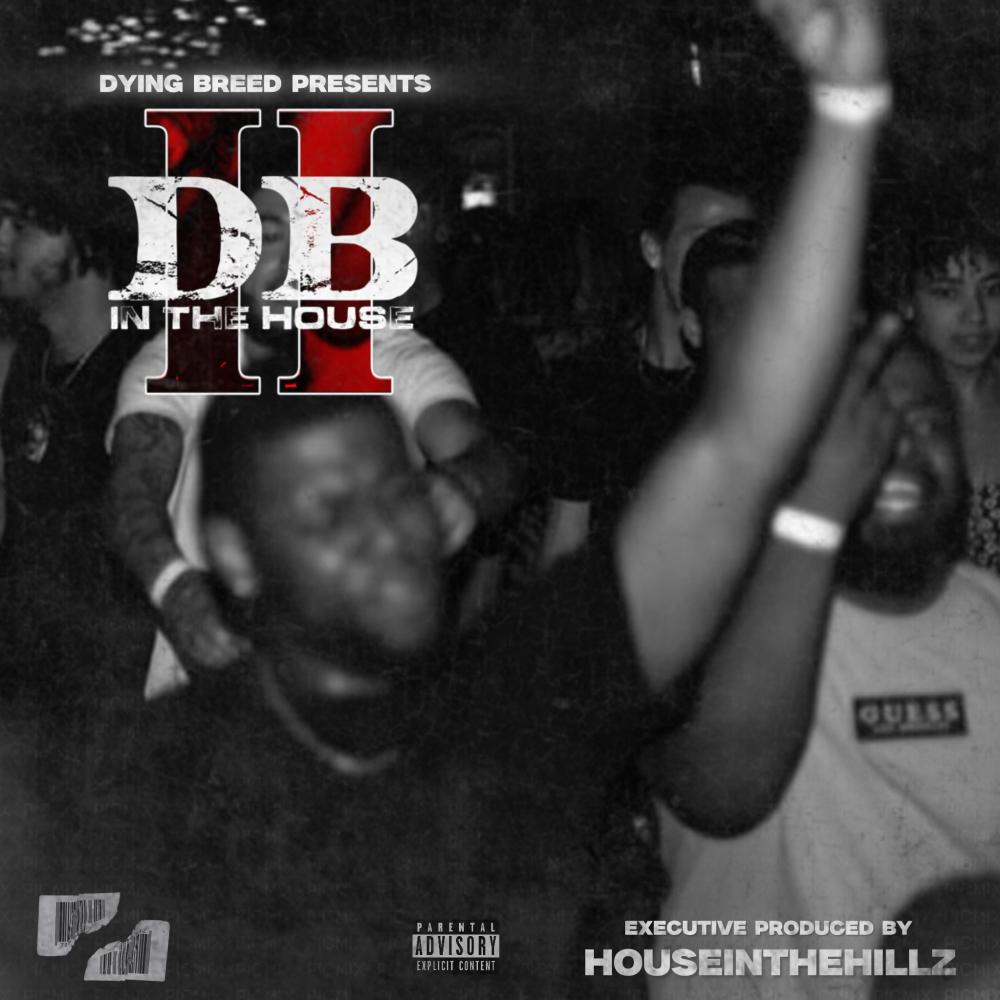 Hillz In The Half House (feat. Delobe & Flipside Moton) (Explicit)