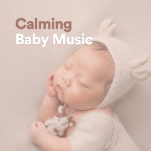 Baby Lullaby的专辑Calming Baby Music