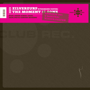 Album The Moment Is Gone from Zilverzurf