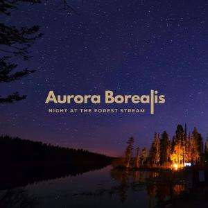 Aurora Borealis的專輯Night At The Forest Stream