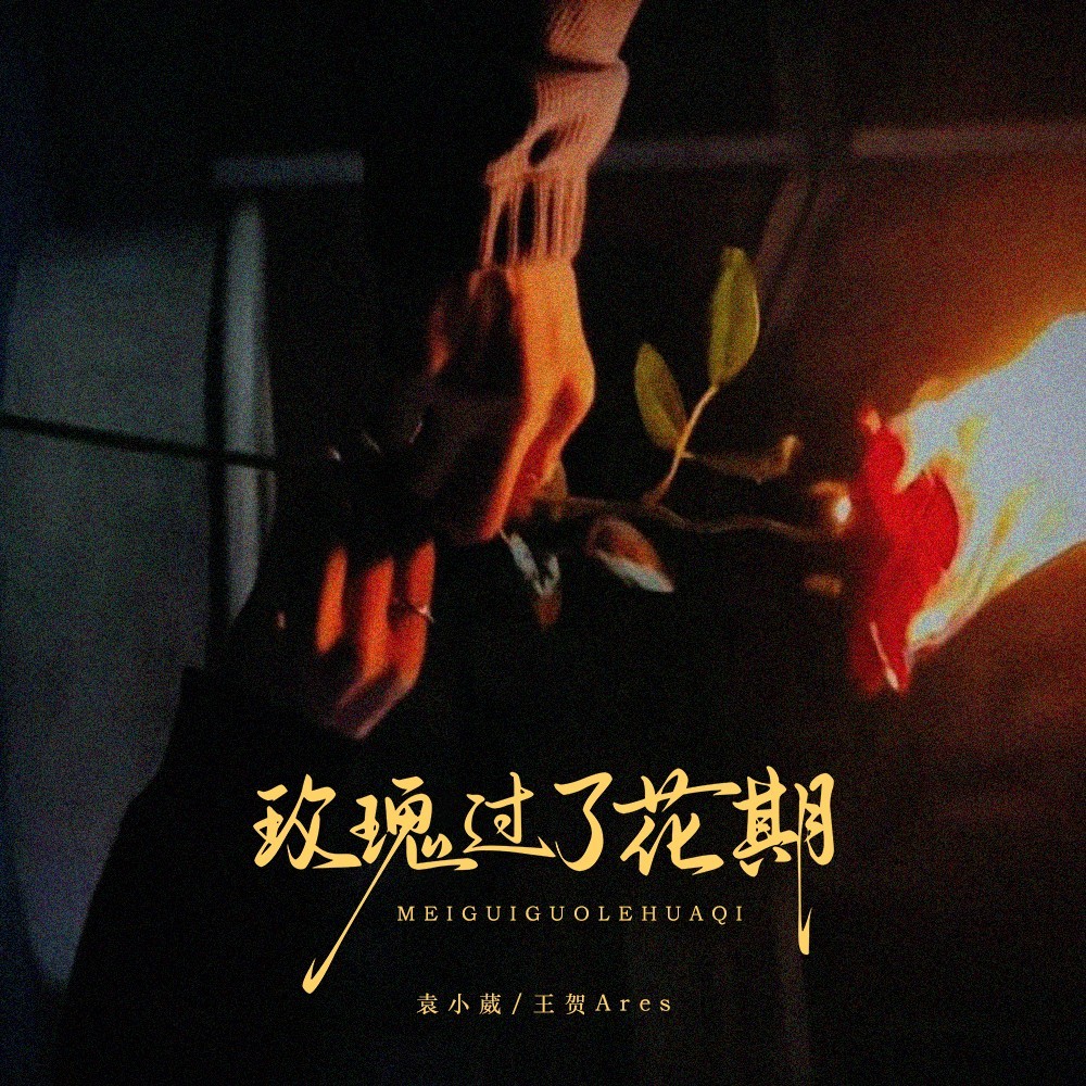 玫瑰过了花期 (伴奏)