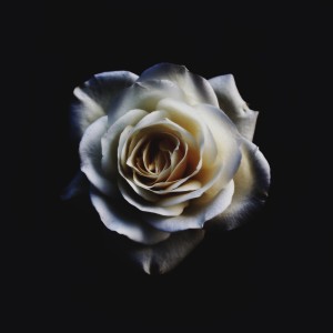 收聽Ambient Light的Only for a Night歌詞歌曲