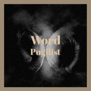 ดาวน์โหลดและฟังเพลง Word Pugilist พร้อมเนื้อเพลงจาก Denisa Kefer