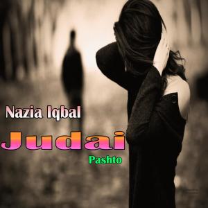Listen to Leewanay Meena song with lyrics from Nazia Iqbal