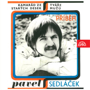 收聽Pavel Sedláček的Tváře mužů歌詞歌曲