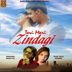 Dengarkan lagu Teri Meri Zindagi nyanyian Harmaan Nazim Ali dengan lirik