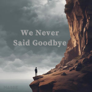 Masse的專輯We Never Said Goodbye