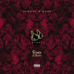 ดาวน์โหลดและฟังเพลง Xtasy (Remix tCHEY!|Explicit) พร้อมเนื้อเพลงจาก Samuel O'Kane